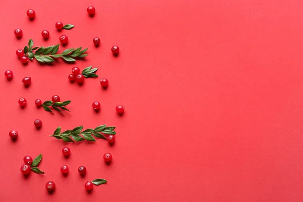 Ripe Lingonberries Leaves Red Background — Stock Photo, Image