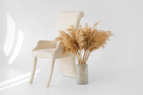 现代摄影演播室里的时髦扶手椅和装有潘帕斯草的花瓶 — 图库照片