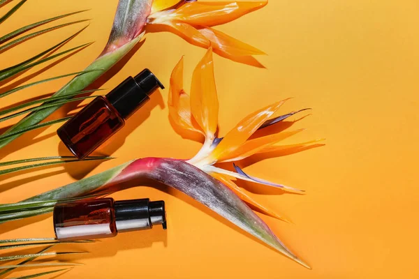 Bottles Cosmetic Product Strelitzia Flowers Palm Leaf Color Background — ストック写真