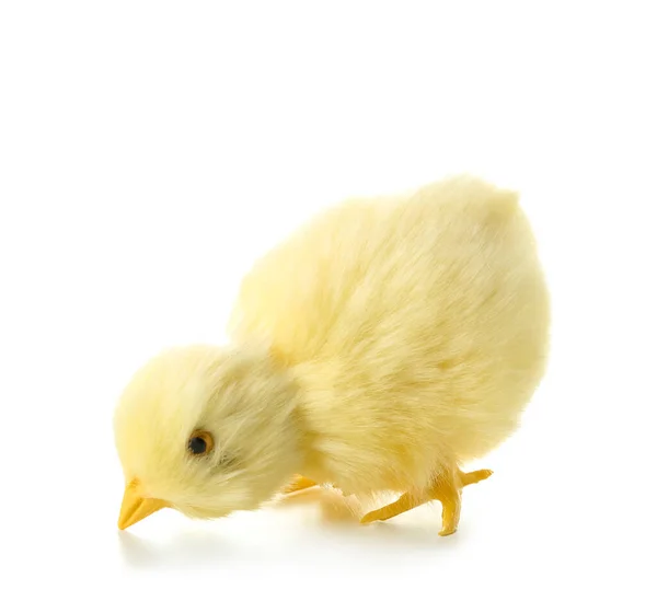 Cute Yellow Chicken Isolated White — Stock Photo, Image