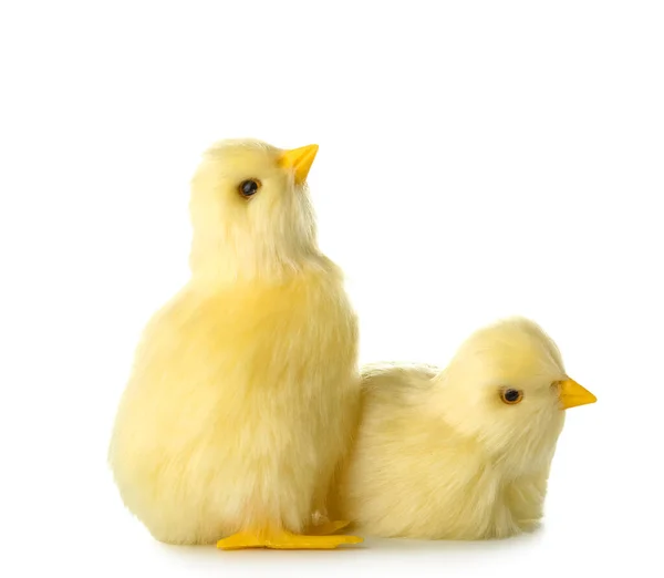 Милые Желтые Цыплята Изолированные Белом — стоковое фото