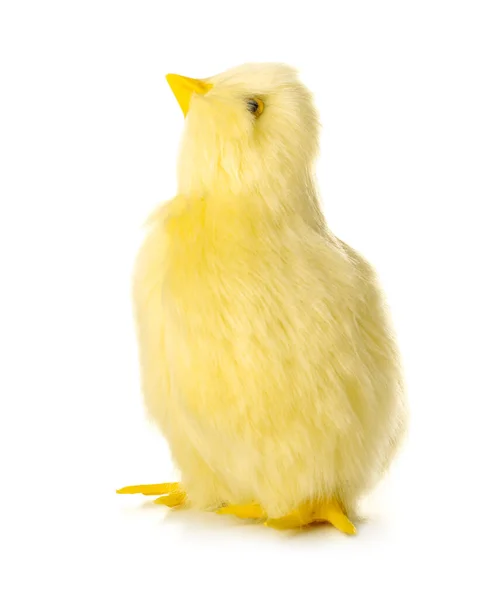 Cute Yellow Chicken Isolated White — Stock Photo, Image