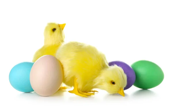 Cute Yellow Chickens Easter Eggs Isolated White — ストック写真