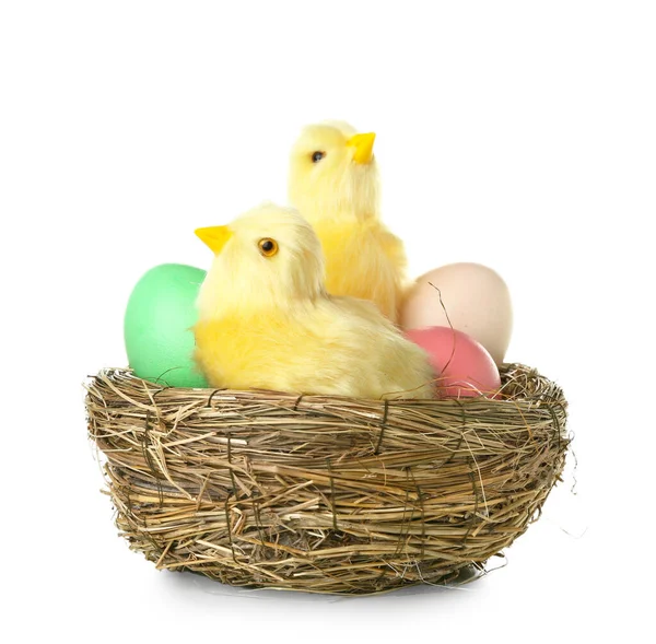 Cute Yellow Chickens Easter Eggs Nest White Background — Stock Photo, Image