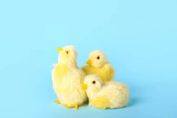 Cute Yellow Chickens Blue Background — Stok fotoğraf