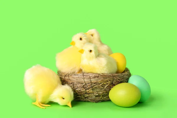 Nest Mit Niedlichen Gelben Hühnern Und Ostereiern Auf Grünem Hintergrund — Stockfoto