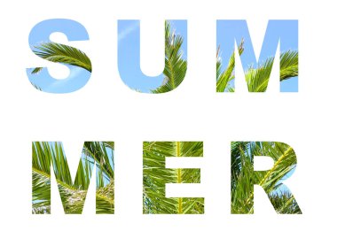 Beyaz arkaplanda Sözcük YAZ