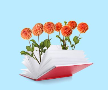 Açık mavi arkaplanda yıldız çiçekleri olan açık bir kitap