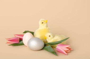 Tatlı tavuklar, laleler ve renkli Paskalya yumurtaları.