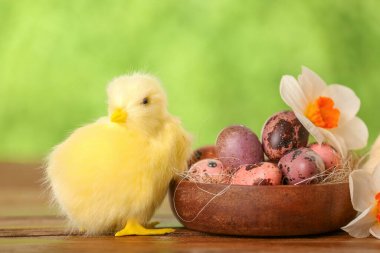 Tatlı tavuk, Paskalya yumurtası ve açık havada çiçekler.