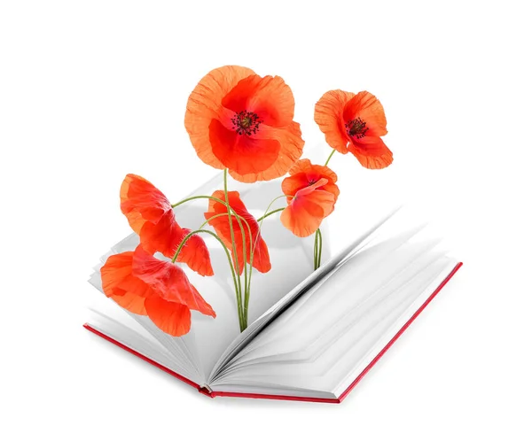 Open Book Poppy Flowers Isolated White — Stock Fotó