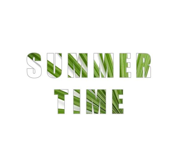 Text Summer Time Filled Texture Tropical Leaf White Background — Stock Photo, Image