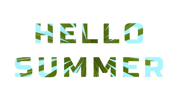 Text Hello Summer Filled Texture Tropical Leaf White Background — 스톡 사진