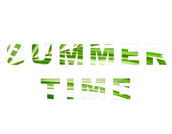 Text Summer Time Filled Texture Tropical Leaf White Background — Stock Photo, Image