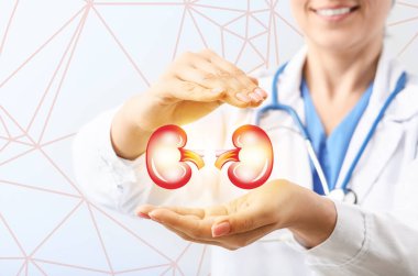 Female doctor and kidneys on virtual screen against light background, closeup