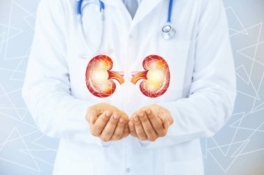 Doctor and kidneys on virtual screen against light background