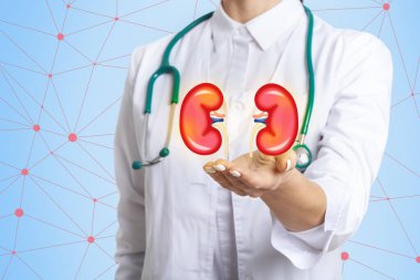 Doctor and kidneys on virtual screen against light blue background, closeup