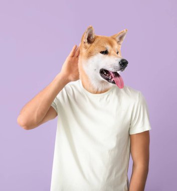 İnsan vücuduna sahip komik bir köpek leylak arka planında bir şeyler duymaya çalışıyor.
