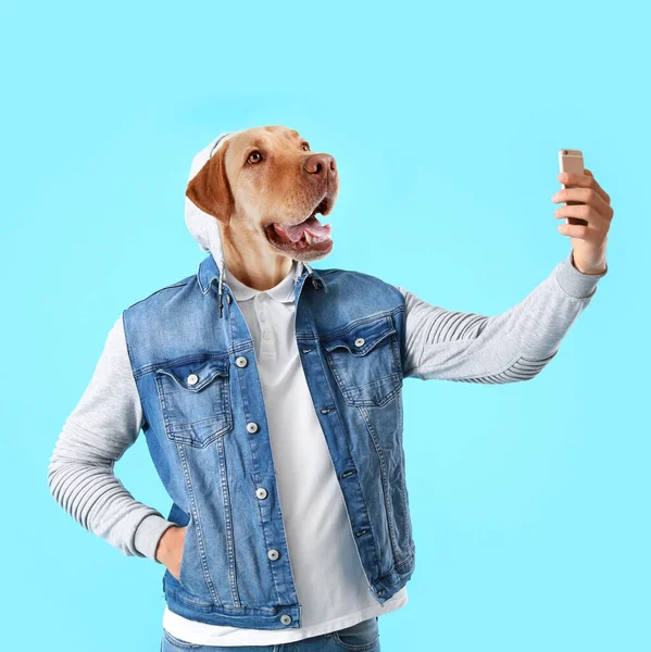 Funny Labrador Dog Human Body Taking Selfie Blue Background — Stockfoto