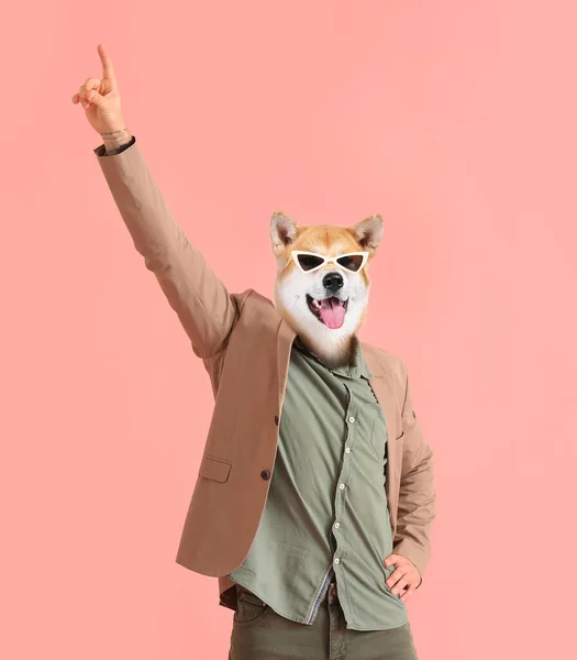 Funny Dancing Dog Human Body Pink Background — Stock Photo, Image