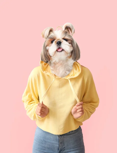 Funny Dog Human Body Pink Background — Foto de Stock