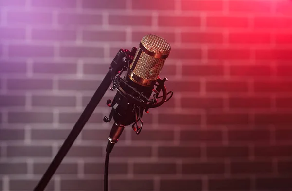 Modern Profesyonel Mikrofonun Yanında Kalın — Stok fotoğraf