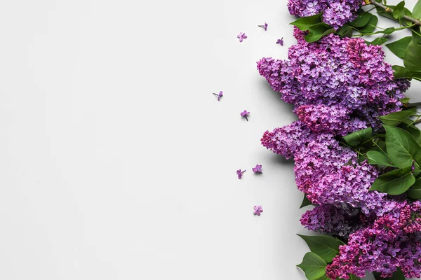 Purple Lilac Flowers Light Background — Stock Photo, Image