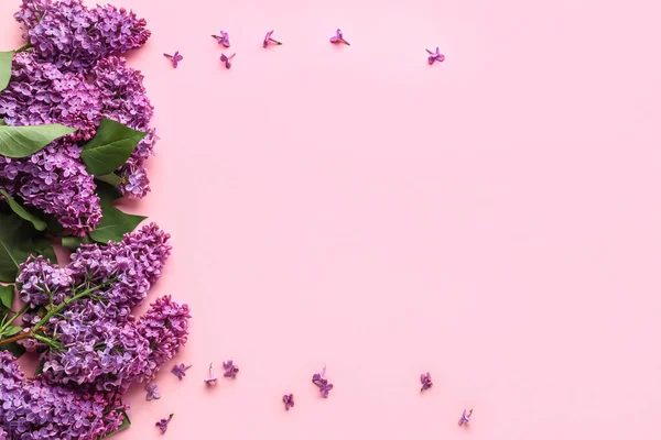 Frame Made Purple Lilac Flowers Pink Background — Stock Photo, Image