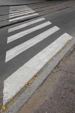 Şehirde Zebra yaya geçidi