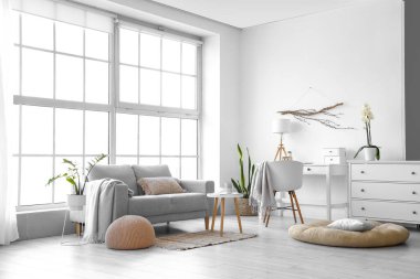 Modern mobilyalar ve ev bitkileriyle dolu bir oturma odası.