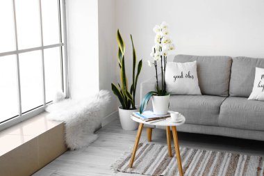 Orchid flower, cup of coffee and magazines on table in living room