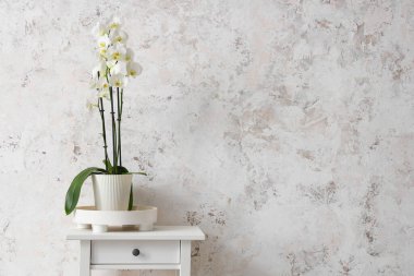 Işık duvarının yanındaki masada güzel bir orkide çiçeği