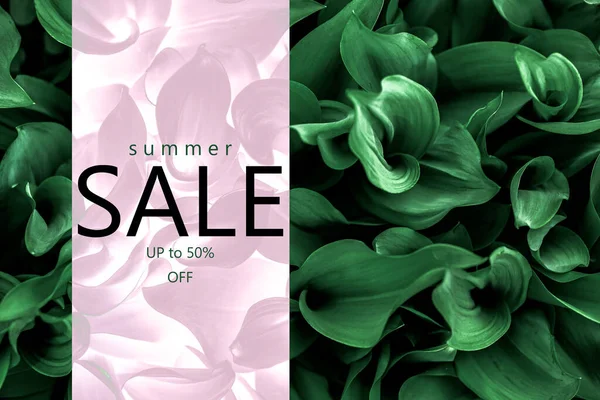 Poster Summer Sale Green Plants — Stok fotoğraf