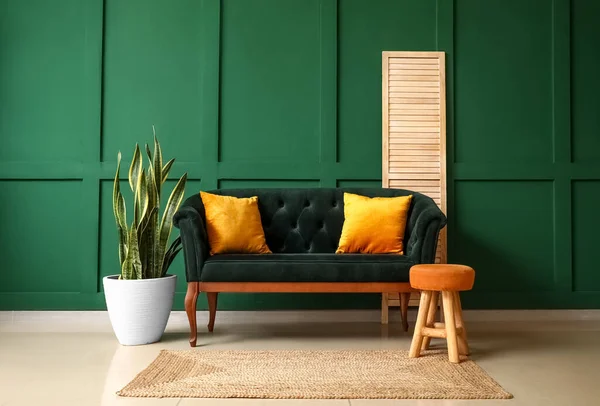 Sofá Elegante Planta Interior Cerca Pared Verde — Foto de Stock
