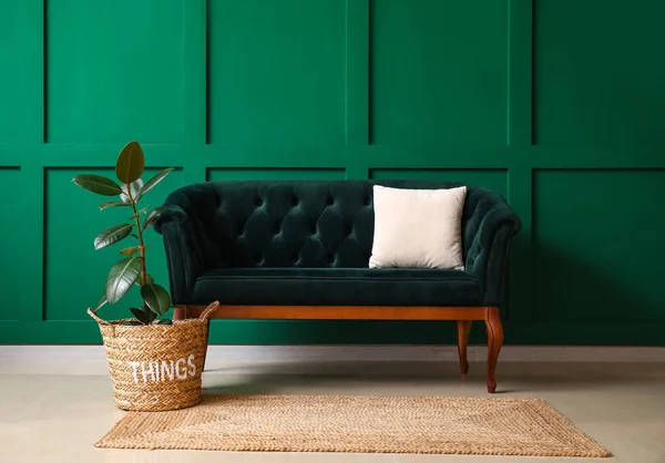 Stylowa Sofa Houseplant Pobliżu Zielonej Ściany — Zdjęcie stockowe