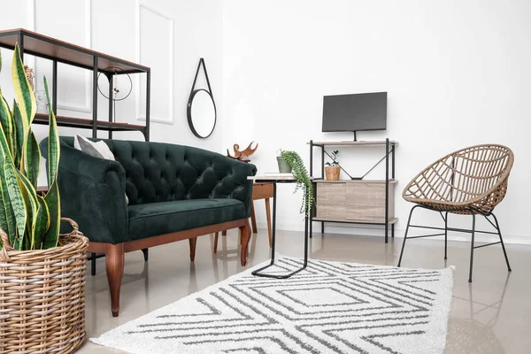 Modern living room interior with stylish sofa and houseplants