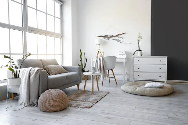 Stylish Interior Living Room Modern Furniture Houseplants — стоковое фото