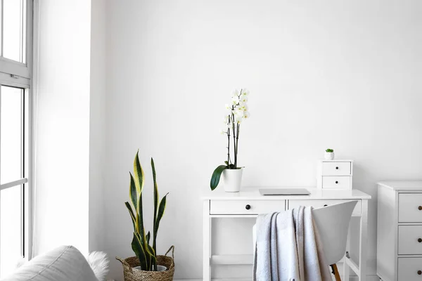 Рабочее Место Современным Ноутбуком Красивым Орхидеей Цветок Около Белой Стены — стоковое фото