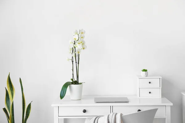 Workplace with modern laptop and beautiful orchid flower near white wall