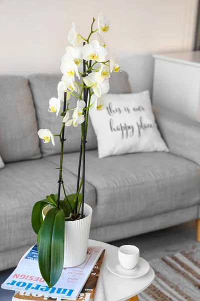Gyönyörű Orchidea Virág Csésze Kávé Magazinok Asztalon Nappaliban — Stock Fotó