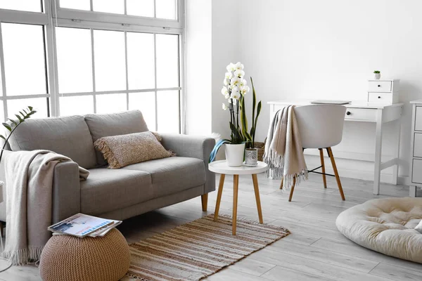 Stylish Interior Living Room Comfortable Sofa Workplace — Stok fotoğraf