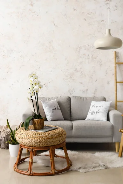 Orchid flower on wicker table and sofa near light wall in living room interior