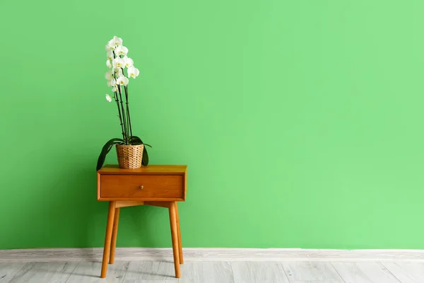 Beautiful Orchid Flower Table Green Wall Room — Foto Stock