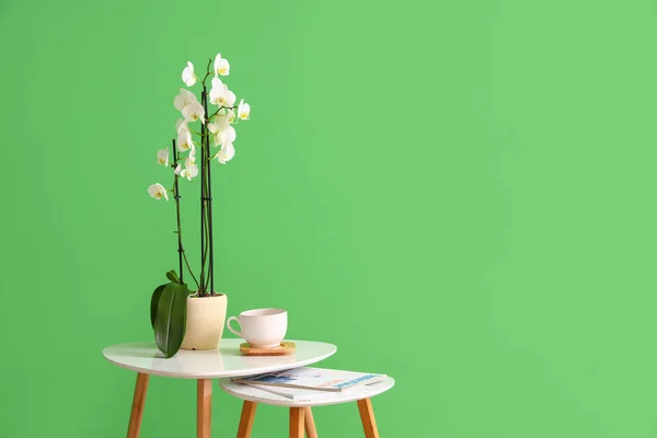 Orchid Flower Cup Magazine Table Green Wall — Foto Stock