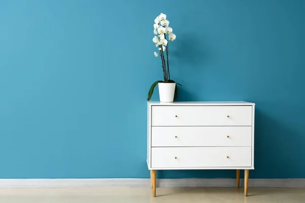 Beautiful Blooming Orchid Flower Chest Drawers Blue Wall Room — Zdjęcie stockowe