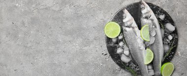 Taze pişmemiş levrek balığı, kireç ve buzlu grunge arkaplan ve metin için yeri var.