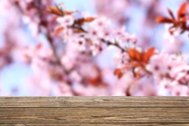 Bahar günü açık havada, bulanık dallara karşı ahşap masa.