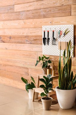 Oda odasındaki ahşap duvarın yanında bahçe aletleri olan ev bitkileri ve tahta tahta tahtalar.