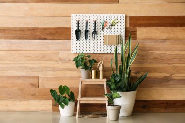 Ev bitkileriyle merdiven taburesi ve oda odasındaki ahşap duvarın yanında bahçe aletleri olan tahta tahta tahta tahta tabure.