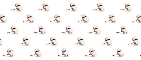 Many Cotton Flowers White Background Pattern Design — Stock Photo, Image